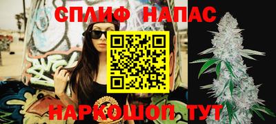 mdpv Можга