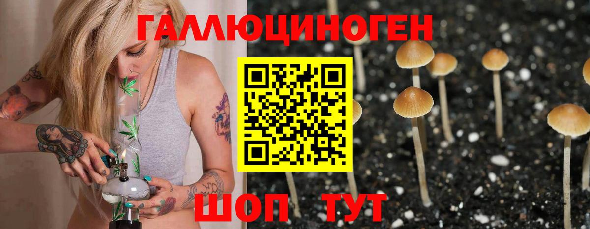 Тверь  Галлюциногенные грибы прущие грибы  Вход с VPN 